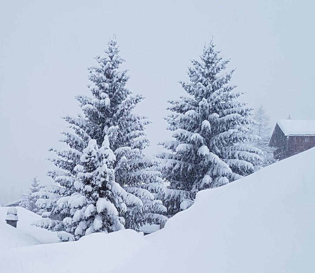 Apartament Piccola Residenza Champoluc Zewnętrze zdjęcie